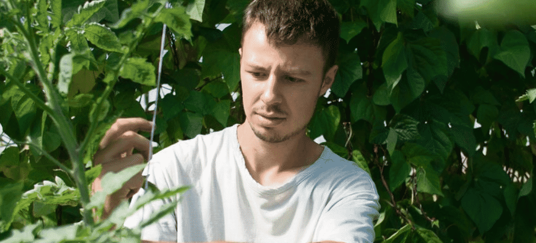 Julien Lach, agriculteur et végétaliseur urbain